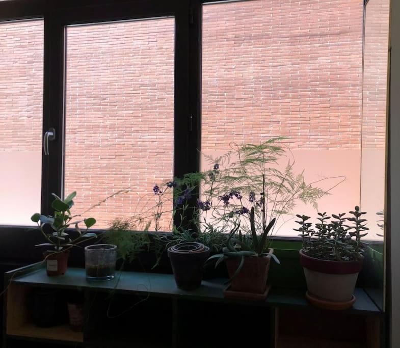 Logement De Charme Aux Carmes Toulouse Extérieur photo